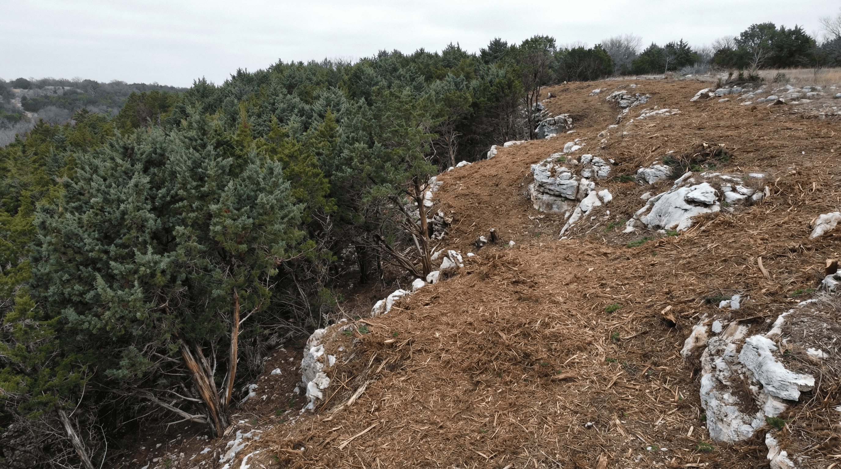 Cedar and mesquite removal in Parker County, Texas