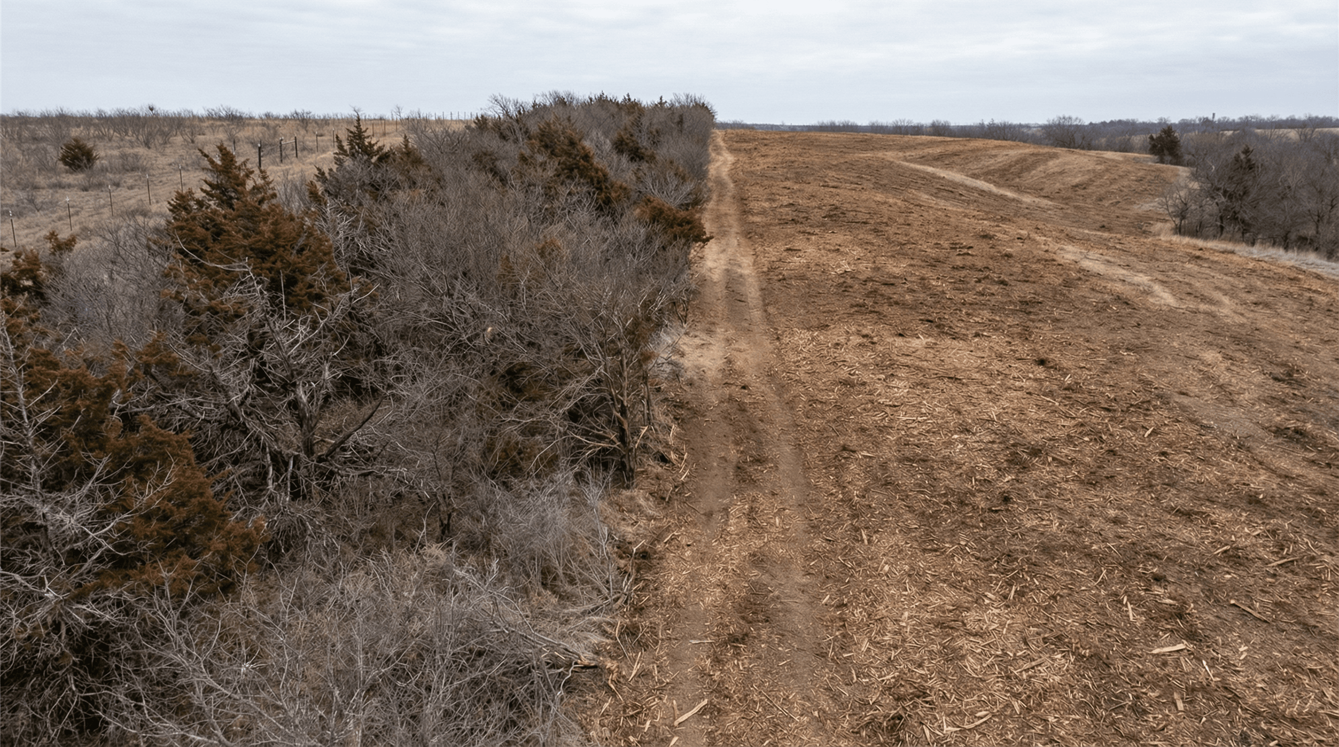 Land clearing in Parker County, Texas