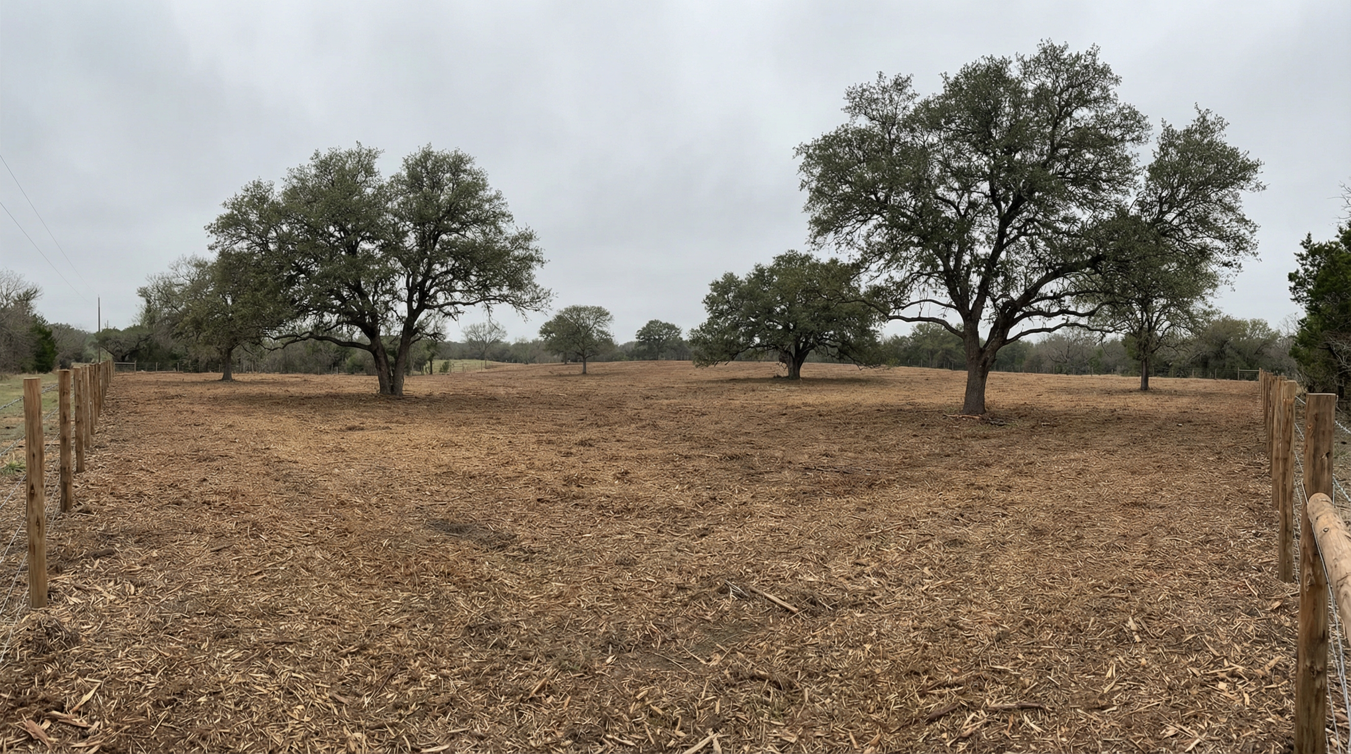 Cleared property in Parker County after forestry mulching