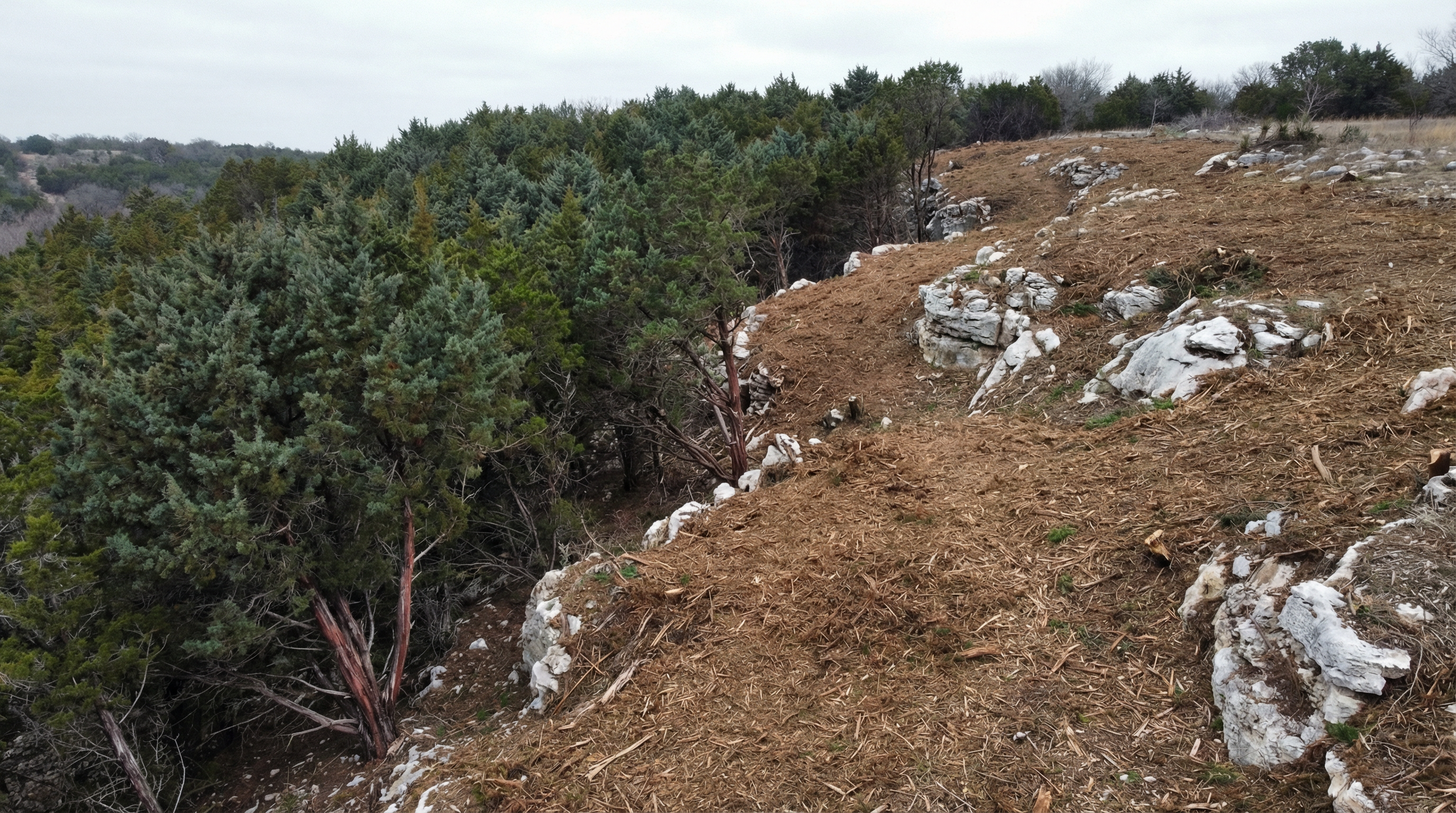 Cedar & Mesquite Removal in Parker County, Texas
